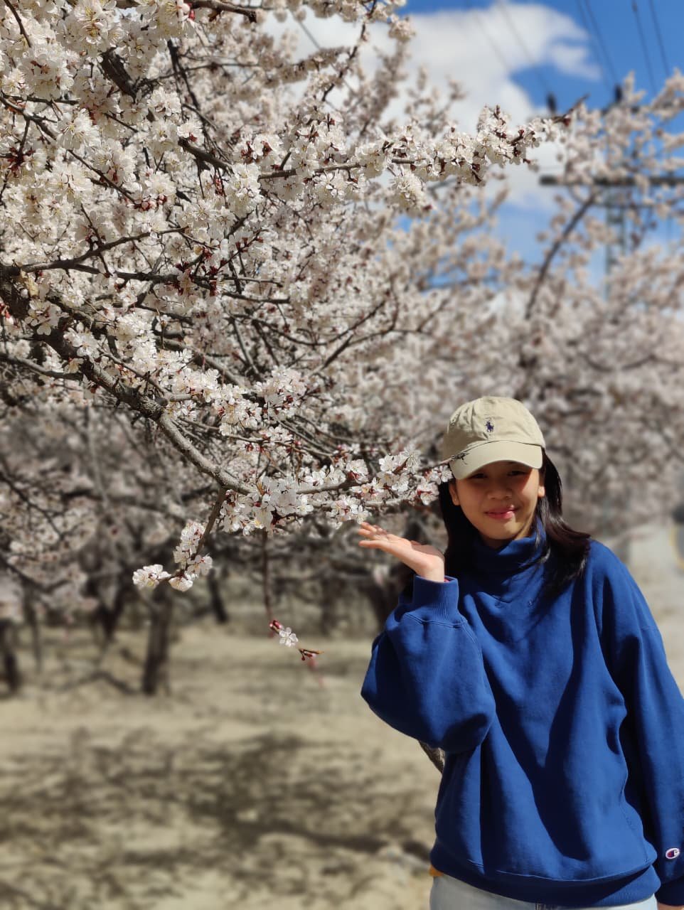 WhatsApp Image 2025-08-17 at 3.55.44 PM