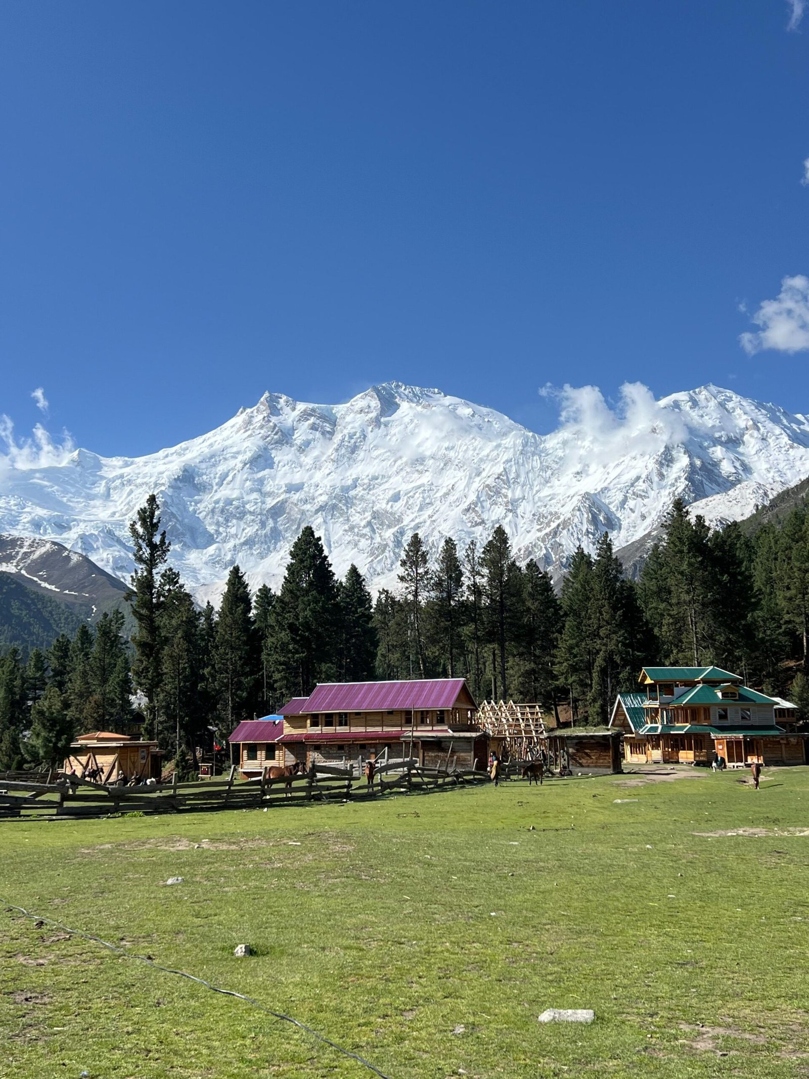 WhatsApp Image 2025-08-18 at 2.17.39 PM